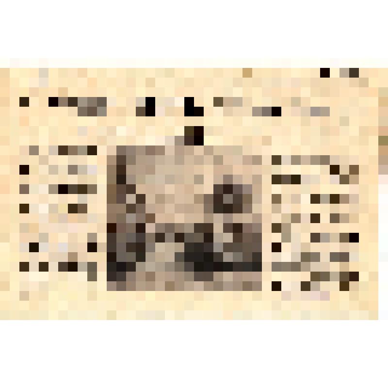 Издание ЦК Ленинского комсомола Белоруссии. Танкi  iдуць на фронт. Малады беларус! (на белор. яз.)