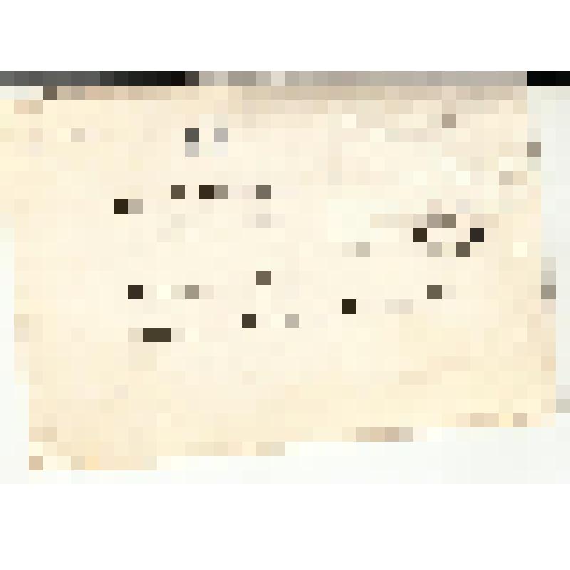 Поздравление [Квициен Т.]. Адресат: Кассиль Лев Абрамович. Польша, г. Краков - г. Москва. Беловой автограф