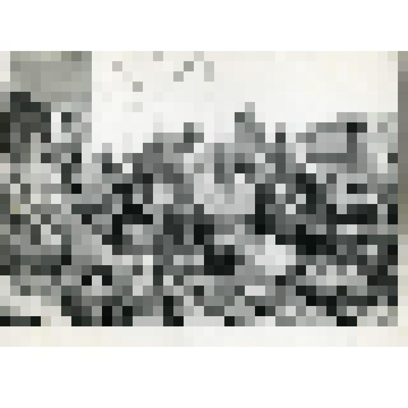 Фотография. Колхозники совхоза им. Ленина во время прогулки на теплоходе по Москве - реке