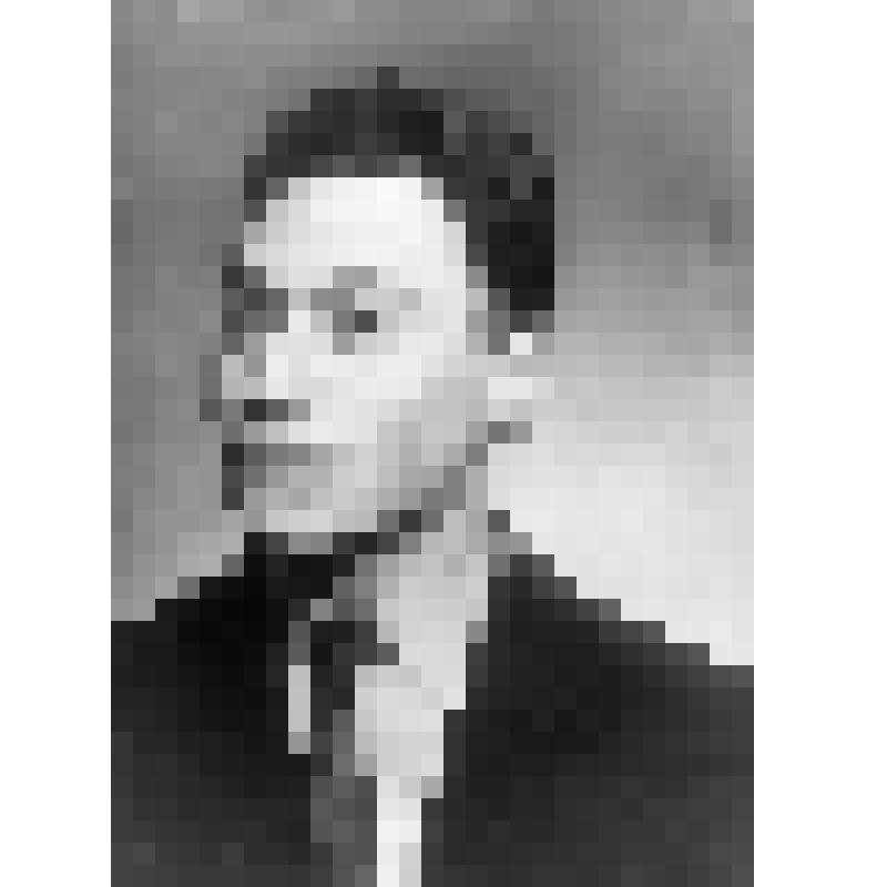 Негатив. Орловский А. - советский виолончелист