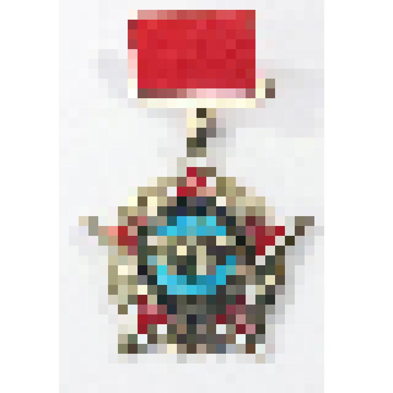 Знак нагрудный наградной «Воину-интернационалисту» Насонова Геннадия Васильевича, военного летчика