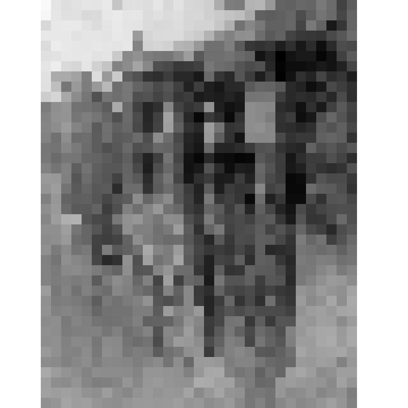 Солдаты в окопе