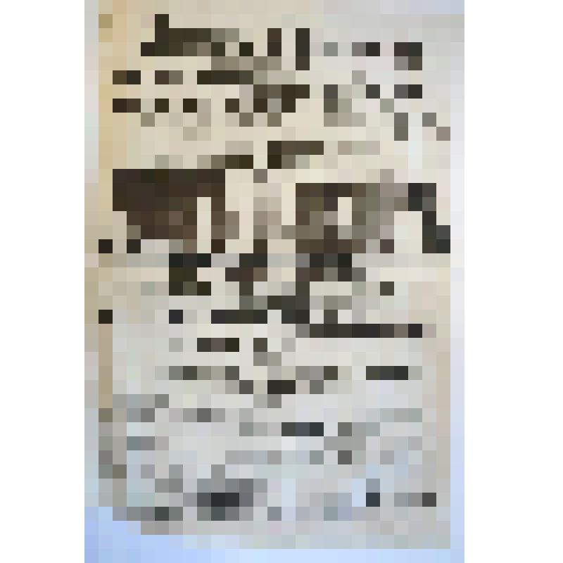 Афиша с исполнителями. "Дон Кихот Ламанский рыцарь печального образа и Санхо-Пансо". Астрахань, Зимний театр наследников Н.И. Плотникова; Антреприза, Труппа драматических артистов, дирекция П. П. Струйского