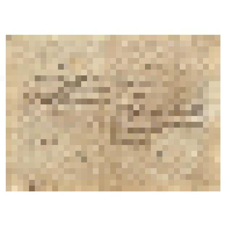 Ценная бумага. Облигация государственного займа на сумму 10 рублей. СССР