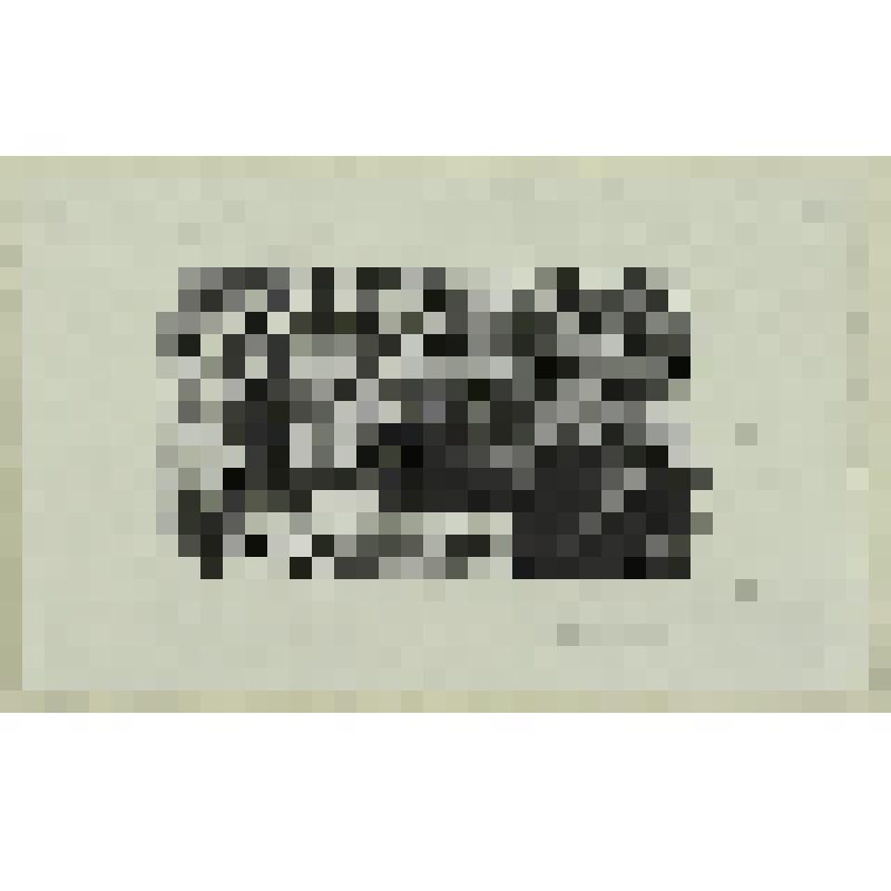 В. Инбер "Пулковский меридиан", гравюра