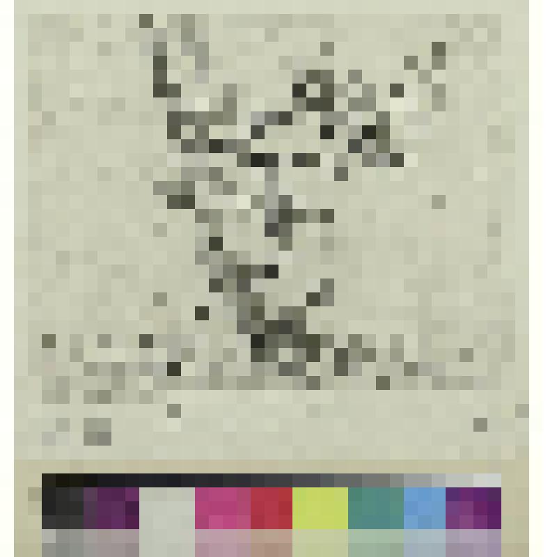 Амур наказывает сатира, гравюра