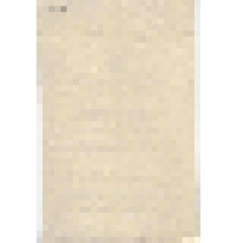 Документ. Постановление о строительстве ГРЭС - 19 от 26.12.1961г. № 1543 (ксерокопия)