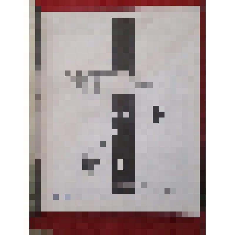Книга памяти. 9 том. Издательство "Курскинформпечать", 1995г
