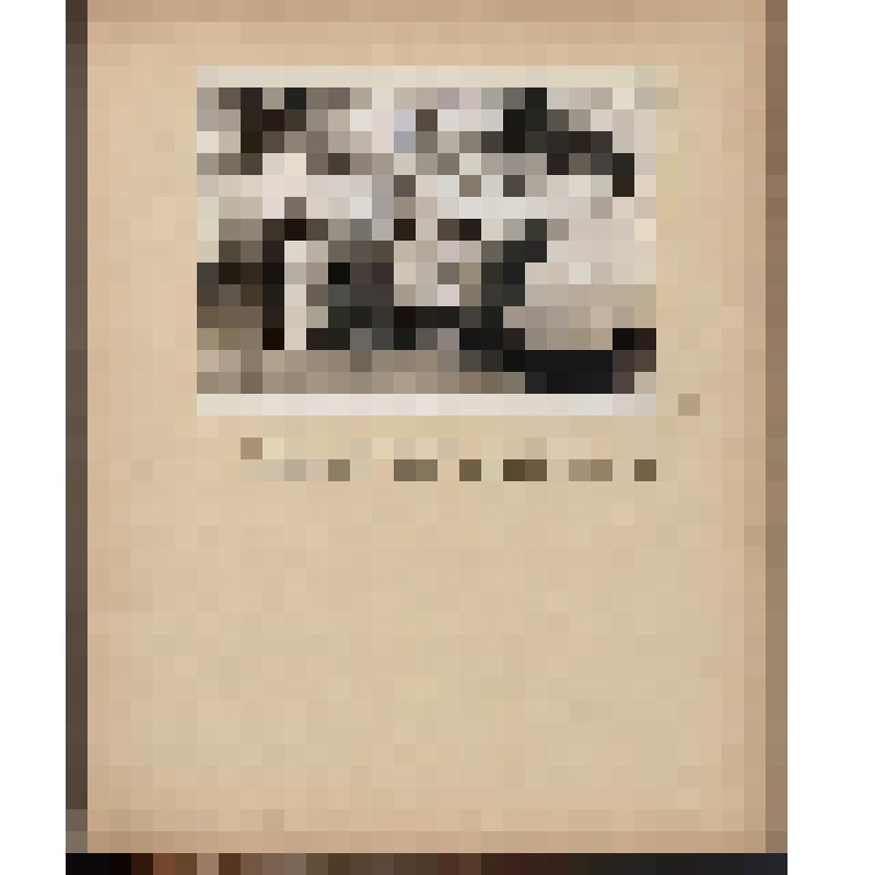 Фотография. Фотоальбом: Турне Донского казачьего хора С. Жарова по Японии в 1956 г. Лист 22. 
1 стр. Фотография японского коллектива работников "Art friend association" с автографами
На 2 стр. хор Донских казаков С.Жарова у трапа самолета
 (