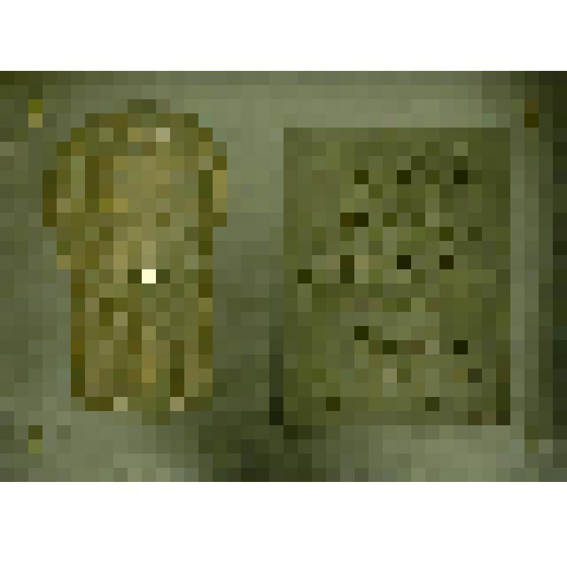 Доска памятная с дома в г.Тобольске , где жил П.А.  Грабовский. Барельеф