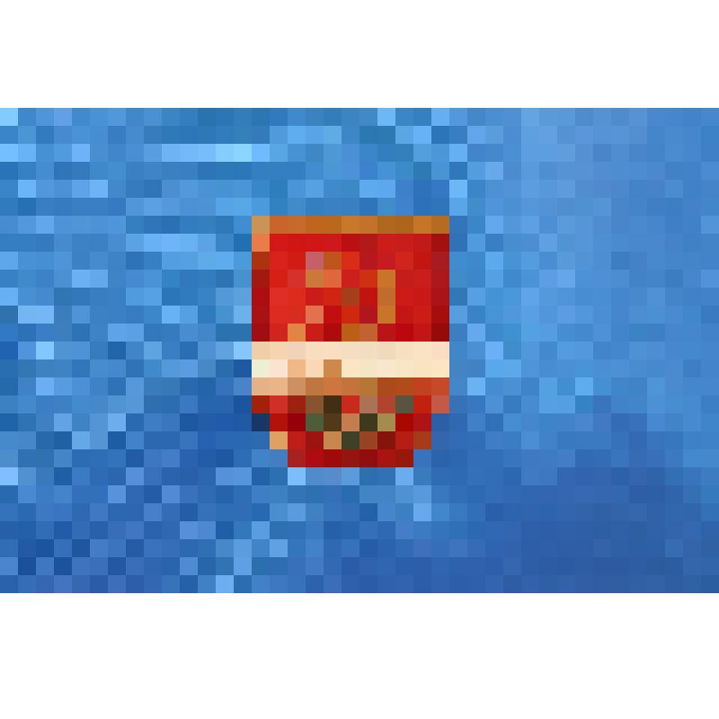 Значок "Дружинник"