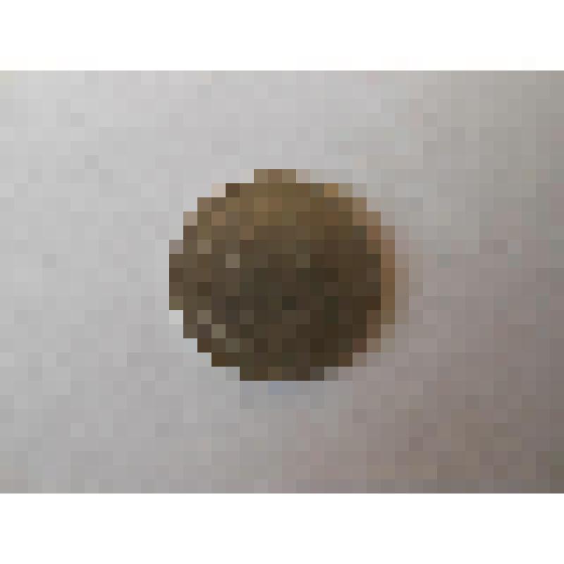 Монета 1 бат