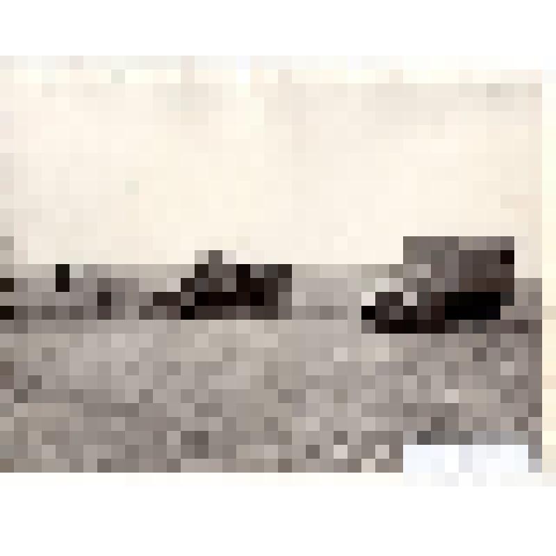 Фотография черно-белая, сюжетная. Техническая помощь  в полевых условиях -ремонт тракторов