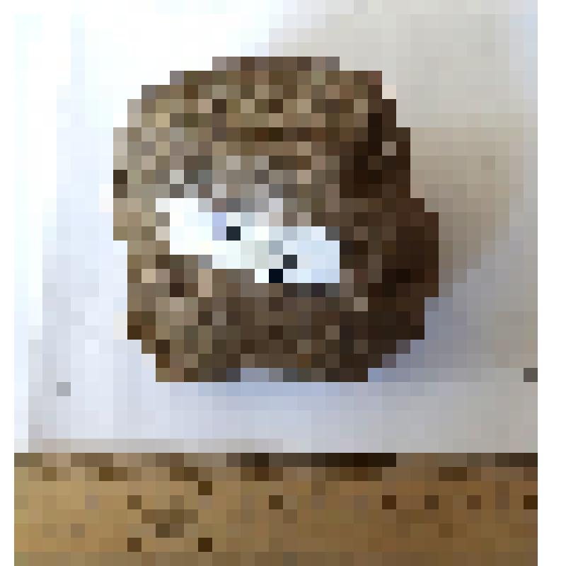 Обломок первой фаланги среднего пальца phalanx I dig III кавказского эласмотерия Elasmotherium caucasicum