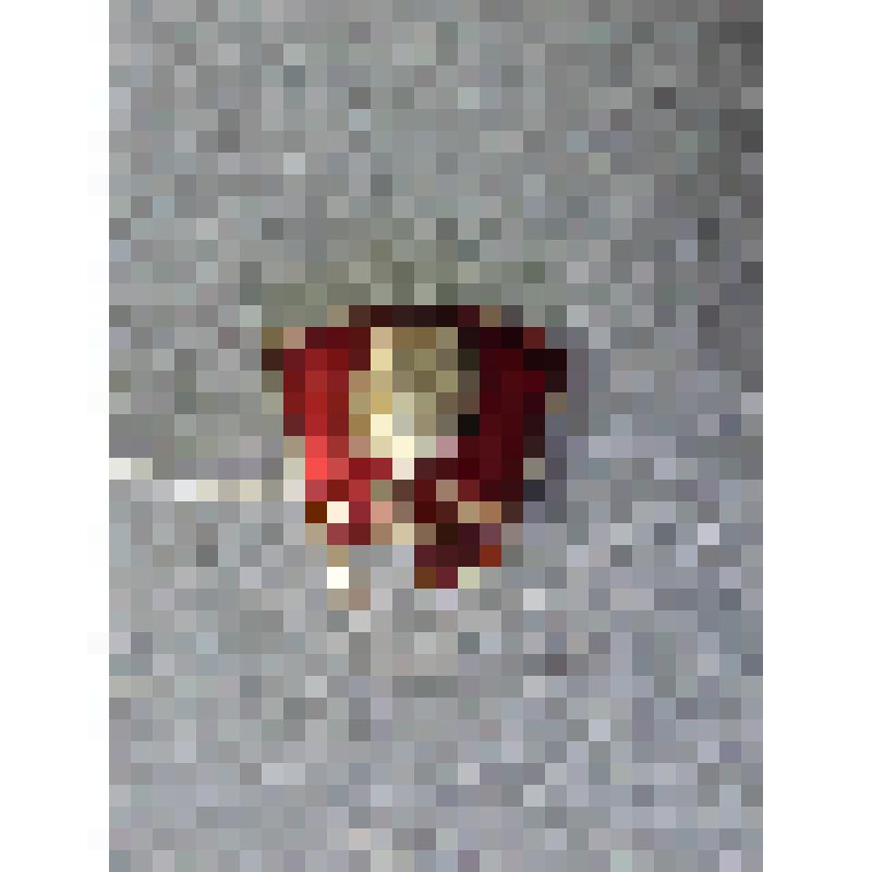 Значок члена "ВЛКСМ"