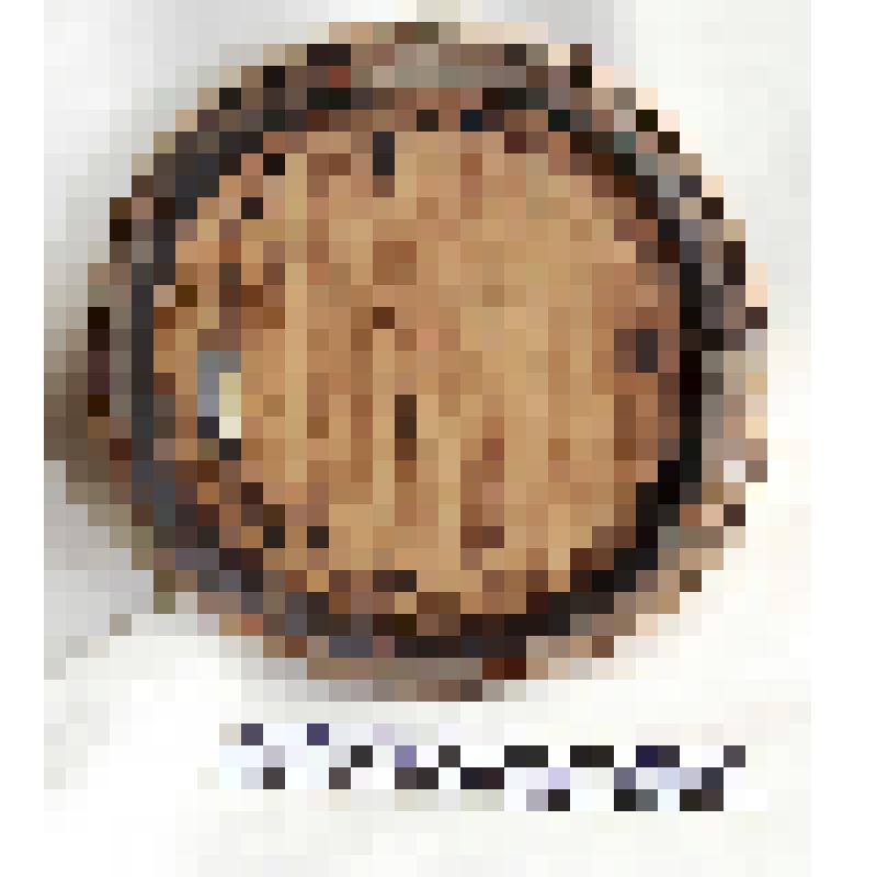 Домашняя хозяйственная утварь из дерева и металла. Кадушка деревянная. Изготовлена  из вертикально поставленных клепок, для  хранения  жидких  продуктов