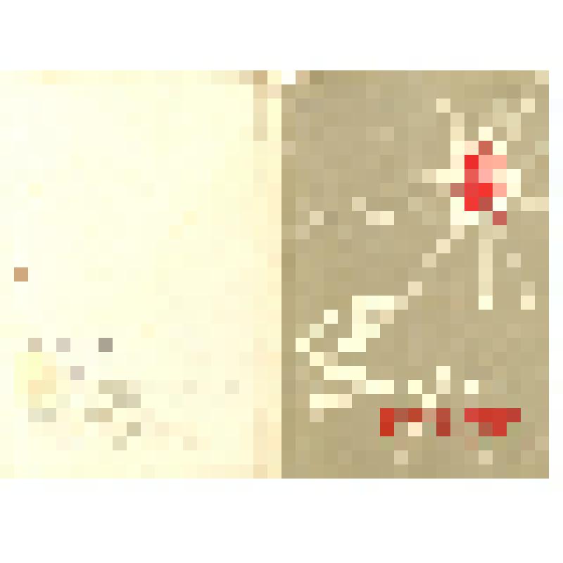 Комплект открыток. Пионеры - Герои