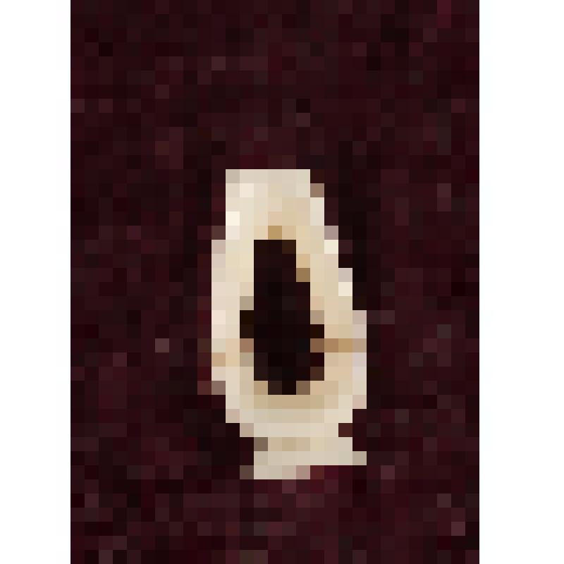 Коробка с костяными бирюльками: хомут