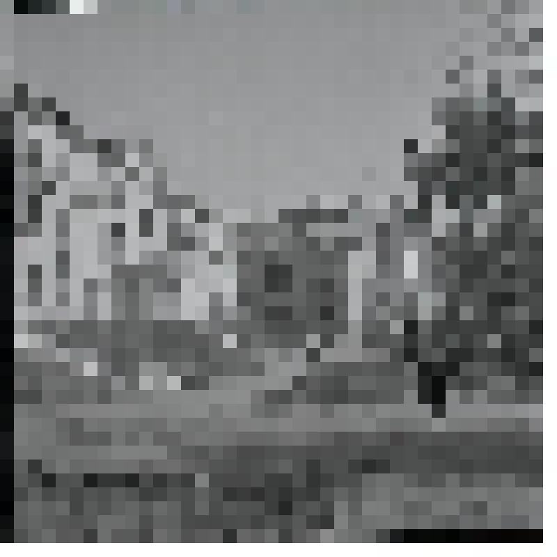 Негатив. В санатории "Еловое"