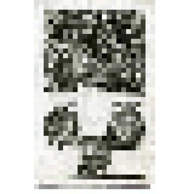 Офорт. Лист 167. Ангел укрепляет Иисуса во время моления на горе Елеонской. Господь на кресте. Смерть Иисуса на 9 часе. Снятие тела Иисуса с креста (Лк. 22, 23)