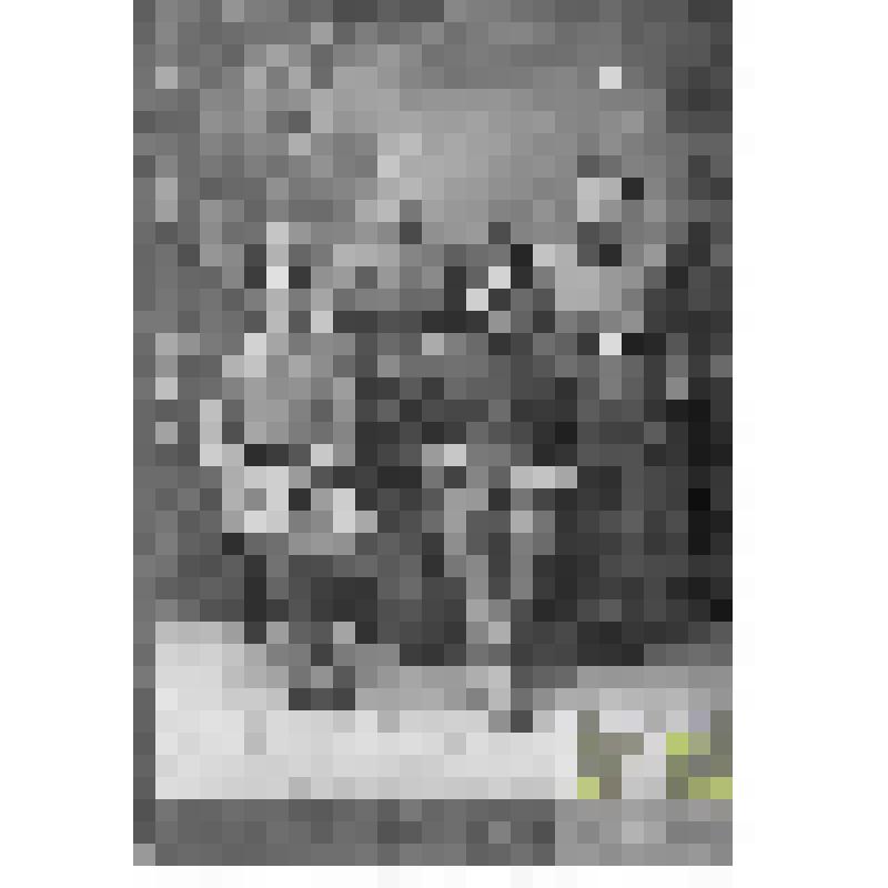 Фото родных Савченкова Е.В