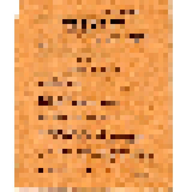 Д. Саликов, председатель Революционного Военного Совета Туркестанской Республики и др. Приказ Революционного Военного Совета Туркестанской Республики Российской Советской федерации. N 57