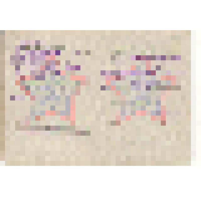 Билет военный Рожкова Михаила Алексеевича, 1919 г.р