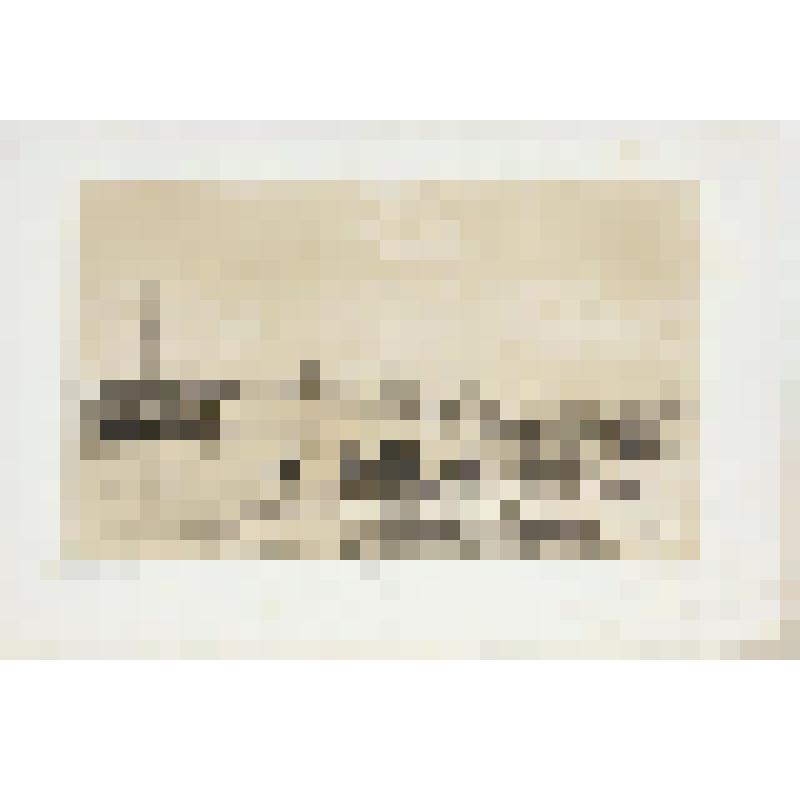 Литография. "Берега Оки. Главный вид на Муром."