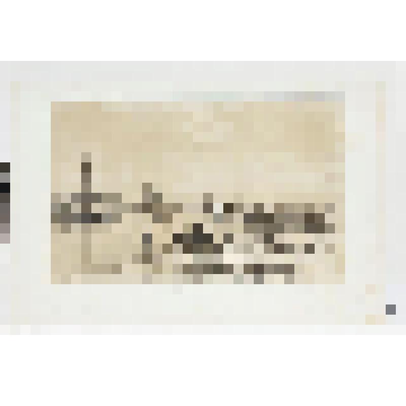 Литография. "Берега Оки. Главный вид на Муром."