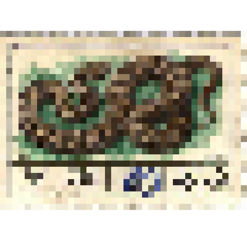 Марка. Ядовитые змеи - полезные представители фауны. Гюрза. Почта СССР. 1977 г. Номинал - 4 к