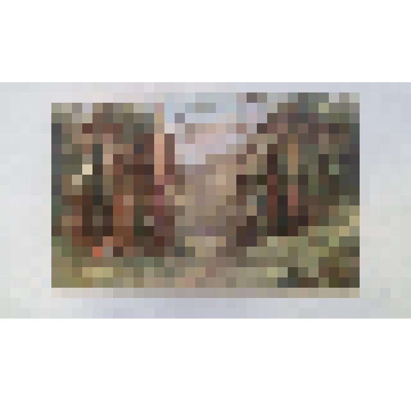 Почтовая карточка. Дружеская беседа.№ 64