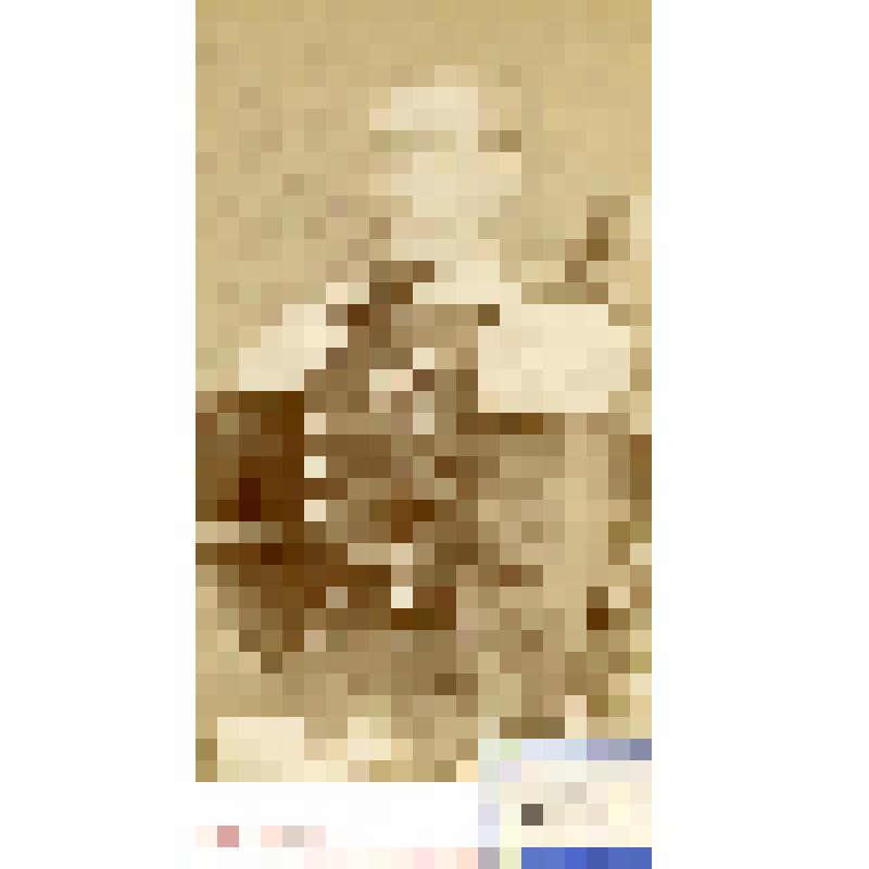 Фотография черно-белая. Вильгельм Федор Фридрихович