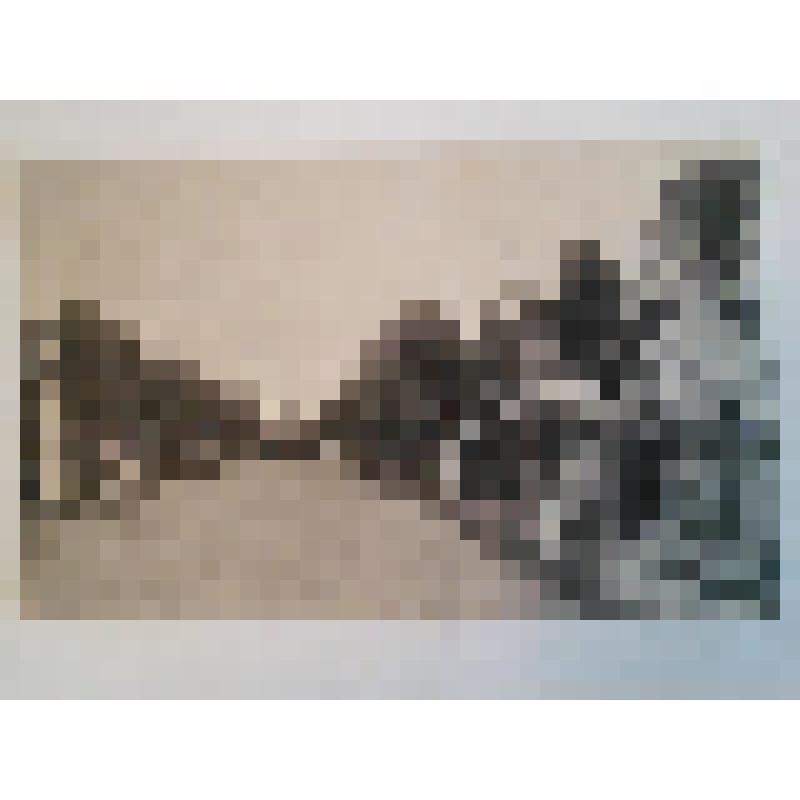 Кострома. Бульвар Ботникова. Перспектива. Худож. фотот. К. Фишера, Москва. "В пользу Костромского Городского Попечительства о бедных"