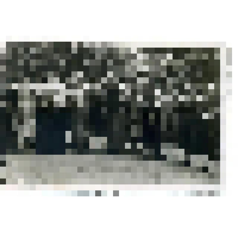 Фотография. Тихонова Любовь Константиновна (2-ая слева от гармониста), в группе отдыхающих в доме отдыха "Берсут"