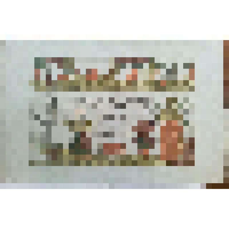 гравюра. Лубок. Притча: Зерцало грешного