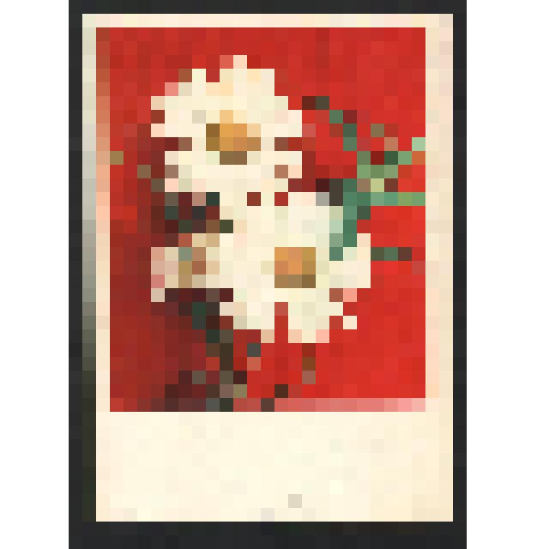 Поздравление Малевича А. Богомоловой З.А. с  праздником весны