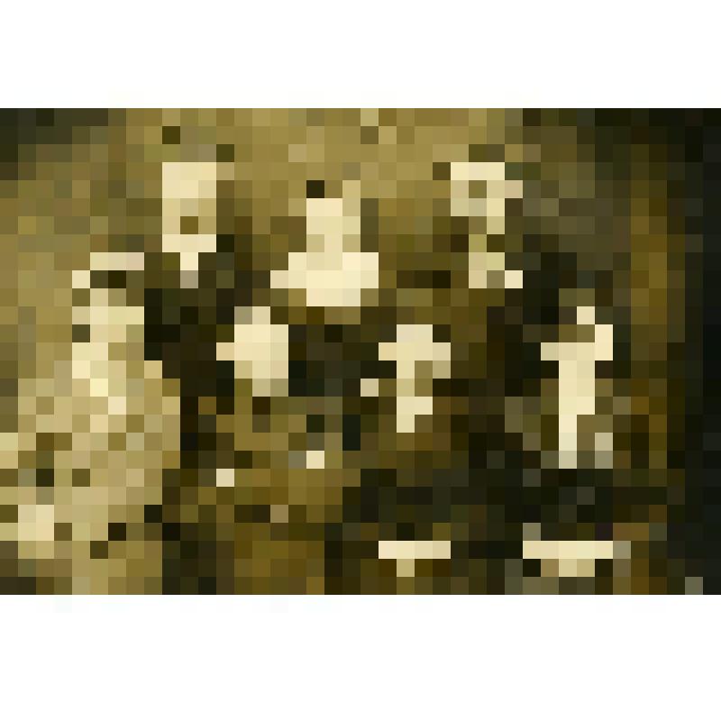 Фотография. Богомолова З.А. с одноклассниками и учителями средней школы станицы Тепловской