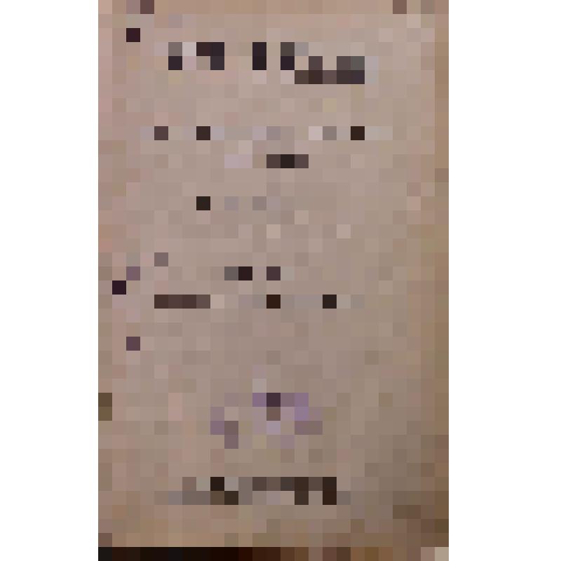 Книга. Русская история в жизнеописаниях ее главнейших деятелей. Т.1, Господство дома Св.Владимира: Х-XVI столетия