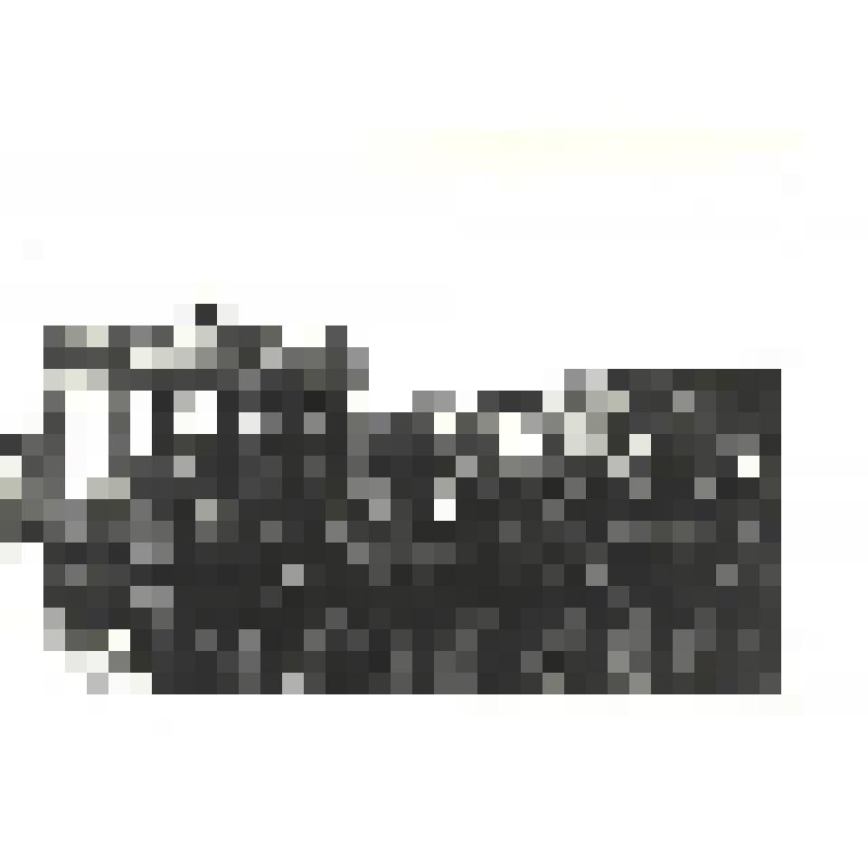 Фотографии. Фото ч/б. Парад советских войск в Берлине, май 1945 г