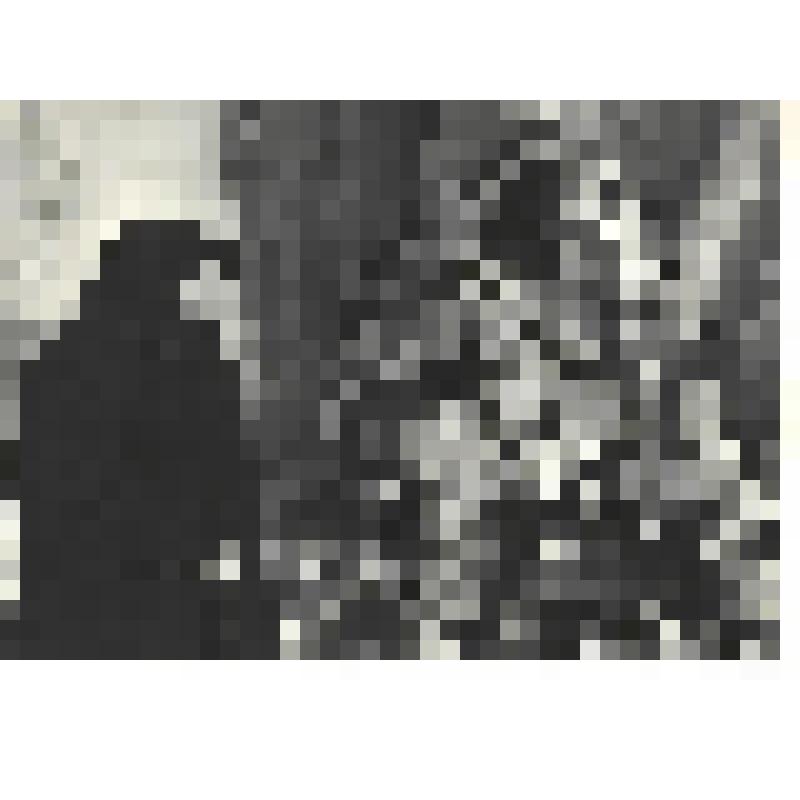 Фотографии. Фото ч/б. Е.И. Чеботарева - мать шестерых детей - одна из матерей тысяч героев, павших в боях за Родину. Каждый день приходит к братской могиле героев. 1972 г