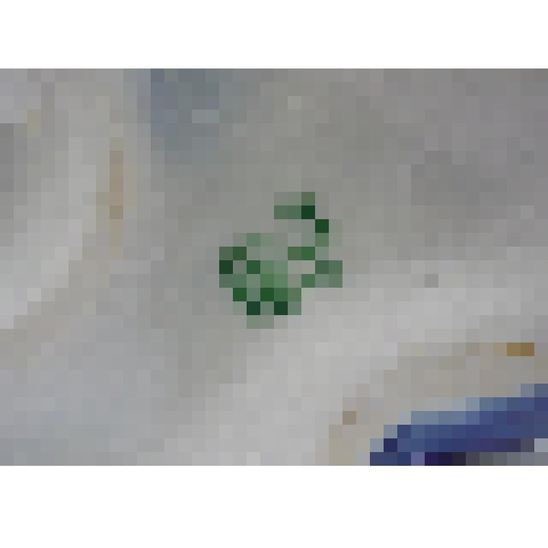 Графин из набора «Рыбы»