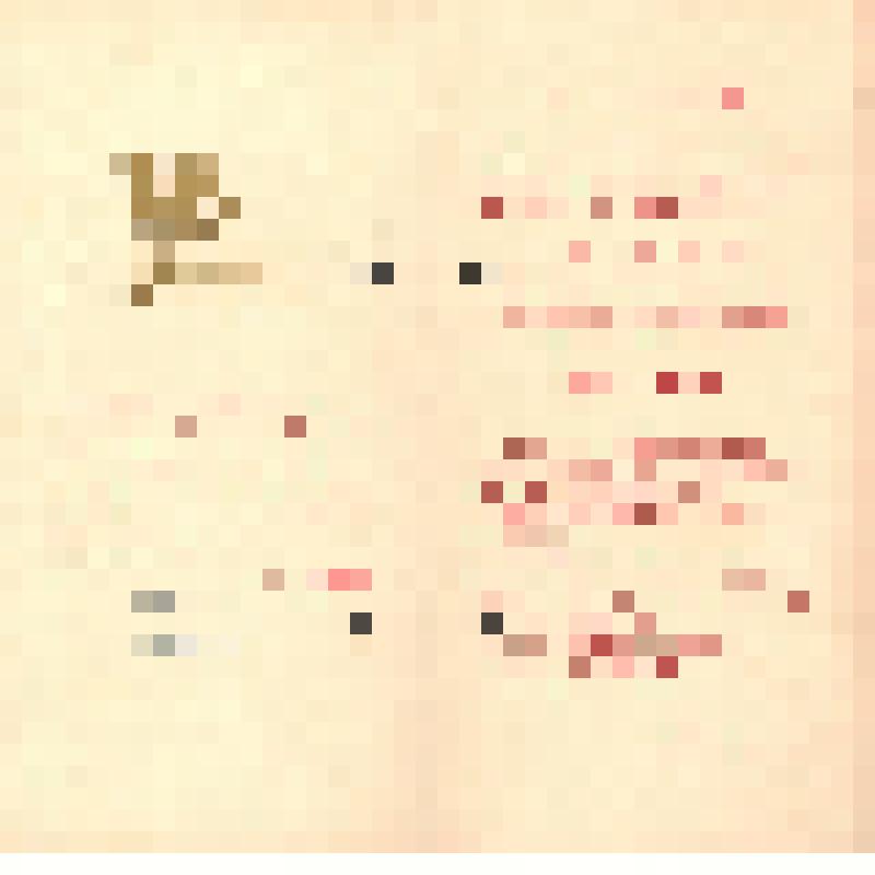 Билет пригласительный на VI слёт студенческих отрядов Удмуртии