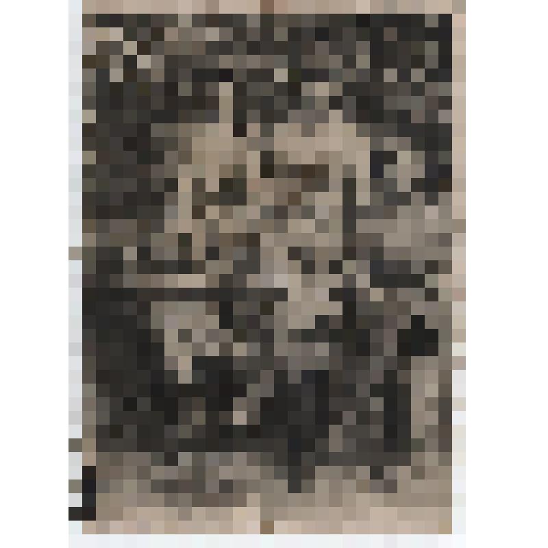 Фотография. Малевинский Василий Андреевич, участник ВОВ, Медведевский с/с