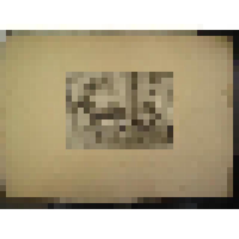 Усадьба Райки. Конец XIX  - начало  XX в. Московская обл., Щелковский р-н. Усадьба Райки. Кекушев Лев Николаевич. Л.Н. и А.И. Кекушевы в имении И.И.Некрасова