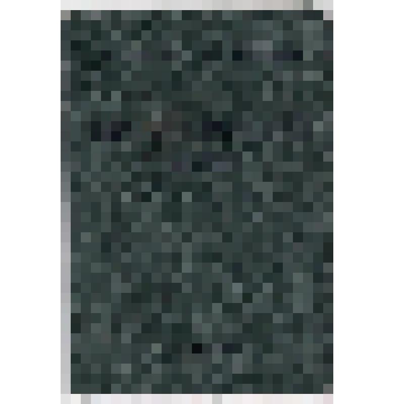 Профсоюзный билет № 27246796 Дылевой Н.И., маляра, выдан профсоюзным комитетом завода "Сахалинстройдеталь" (?) 31.01.1974 г