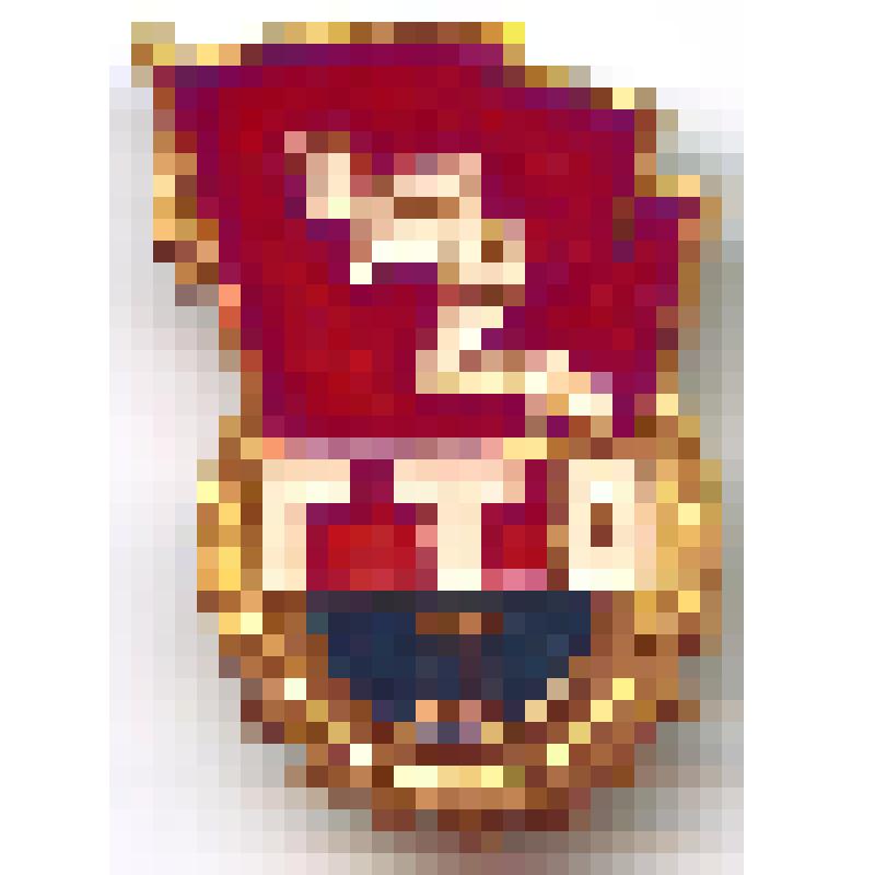 Значок "ГТО " II ст