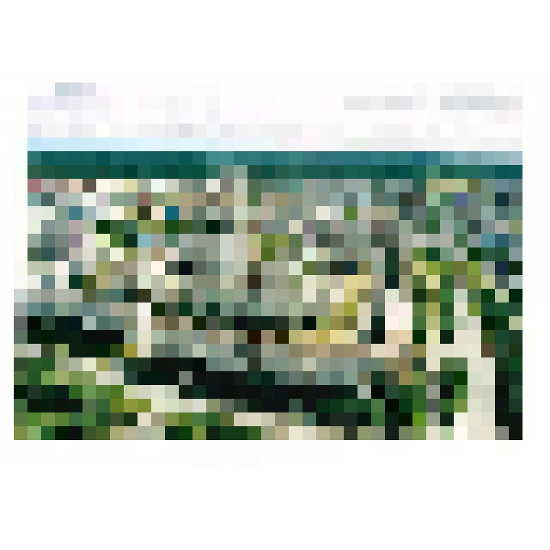 Фотография. Вид на город Лангепас с вертолета. 3 и 6 микрорайоны