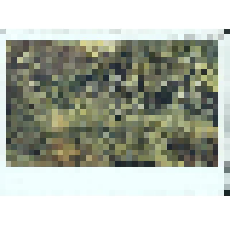 Смыть-трава. ГРМ. Репродукция работы худ. Шишкина И. И