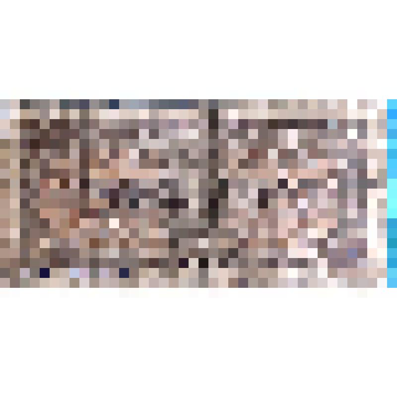 Казначейский билет