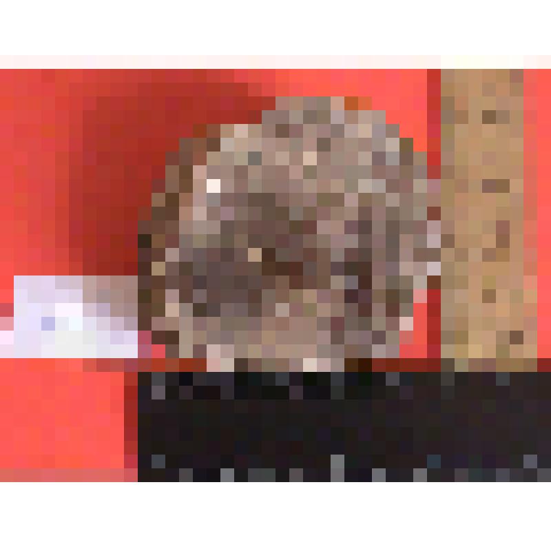 Слюда